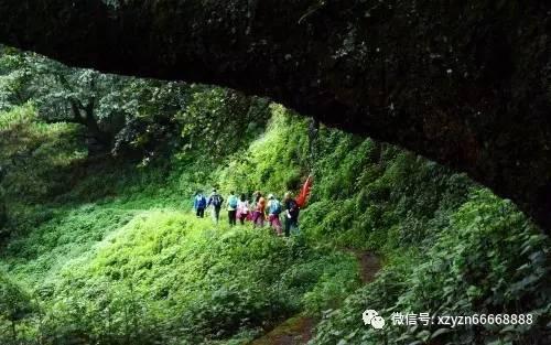 探索冷知识,尽在回方向转向灯关闭是不是只有教练车才有这个功能?平台